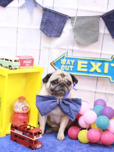 20230425くりこちゃん